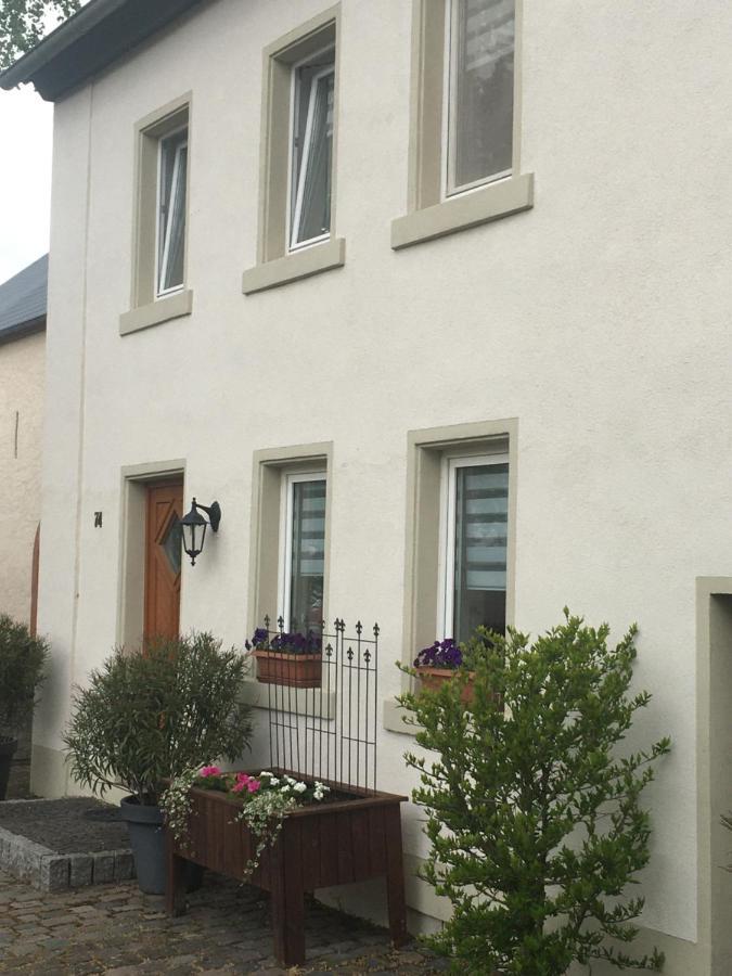 Eifel-Moezelhuis Bergweiler Exterior photo